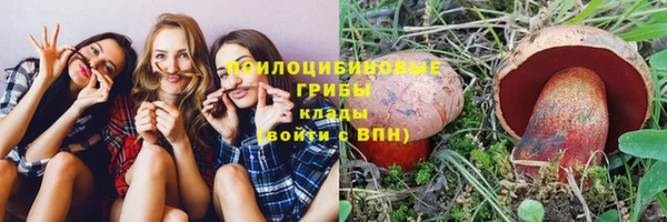 твердый Протвино